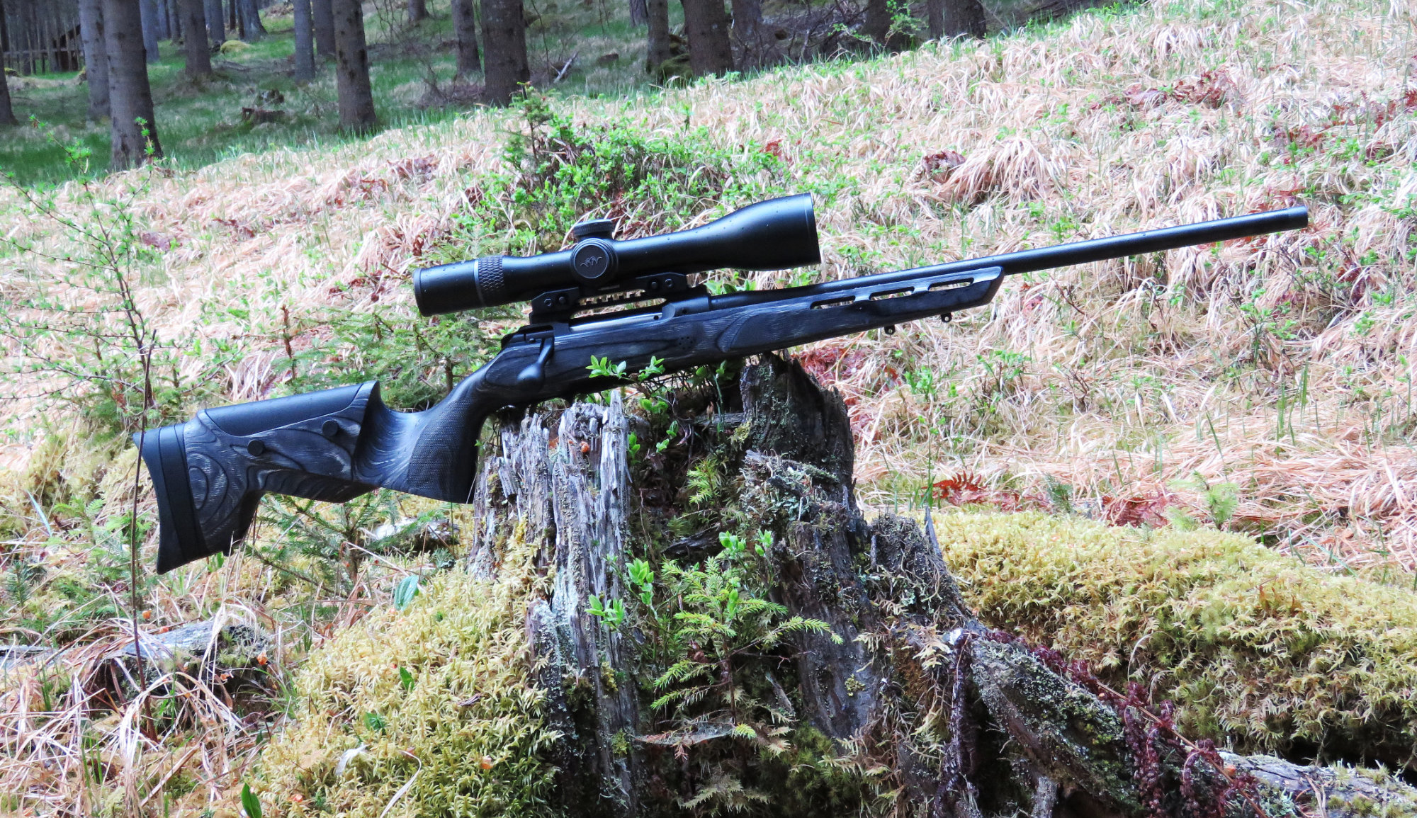 Sauer 101 Fieldshoot Cal. 6xc mit Blaser B1 4-20x58 iC